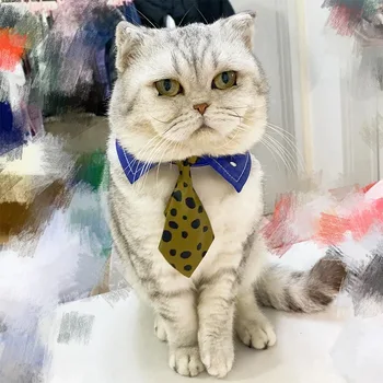 Anime Jujutsu Kaisen Nanami Kento Tema Pisica Mica Cravata Cosplay Costum Lua Fotografie Recuzită Câine De Companie Papion Consumabile Accesorii