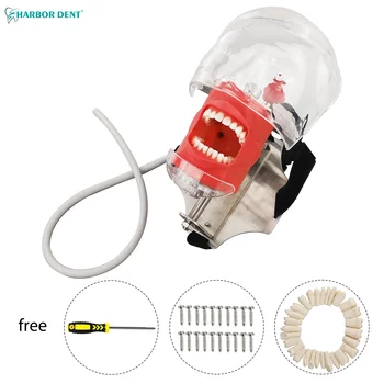 Dentare Simulator Phantom Cap Înlocui Dinții Model Instalat Pe Scaun Stomatologie Perna Pentru Dentist Practică Pedagogică