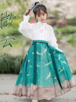 Fata Îmbunătățit Verde Macara De Imprimare Hanfu Tang Costum Original Han Elegant Fairy Stil Chinezesc De Zi Cu Zi Fata De Cal Fusta